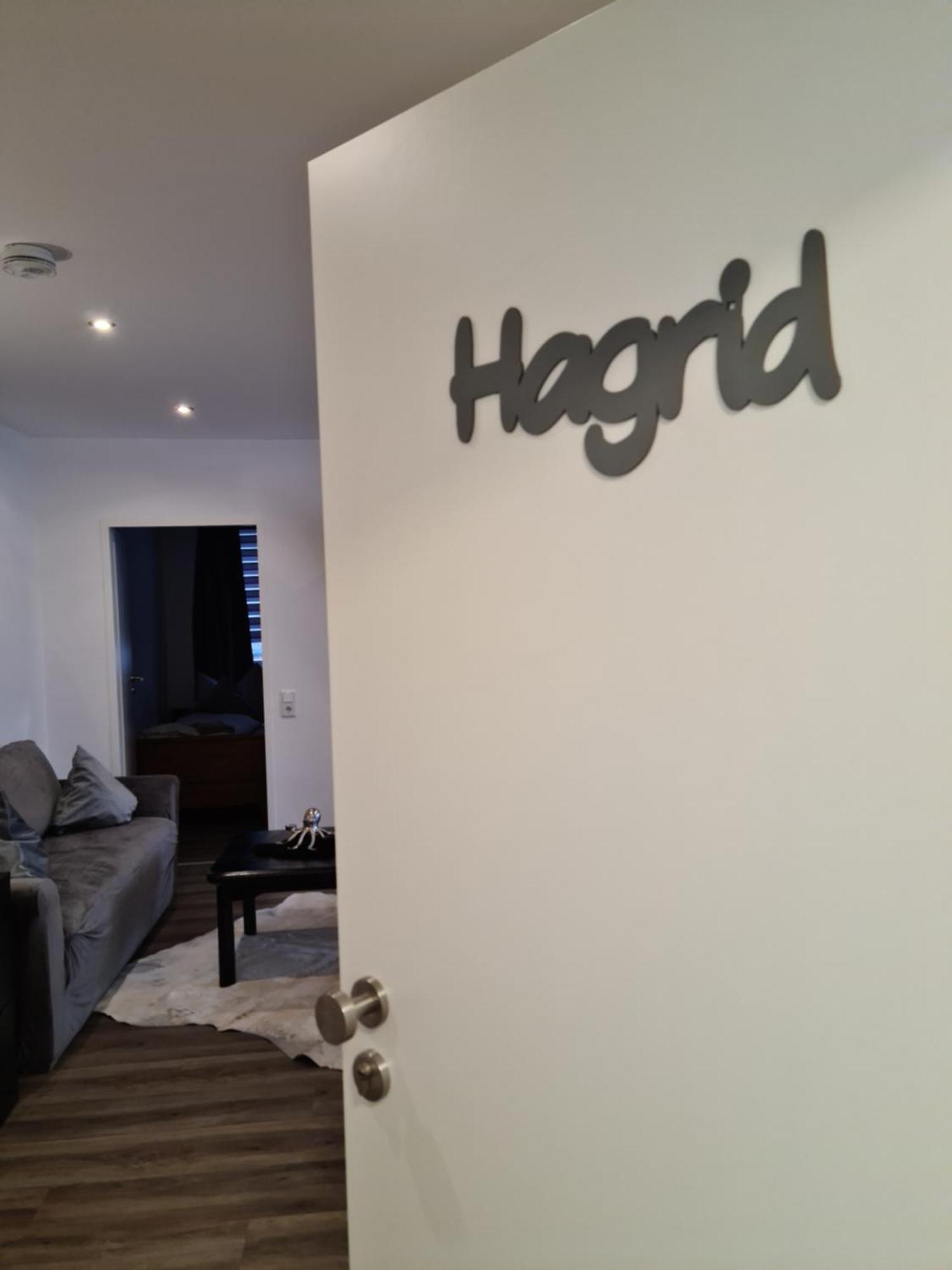 Pilgrims "Hagrid" 2 Sz, Balkon, Kueche, Bad, Top Wifi Brilon Exterior foto